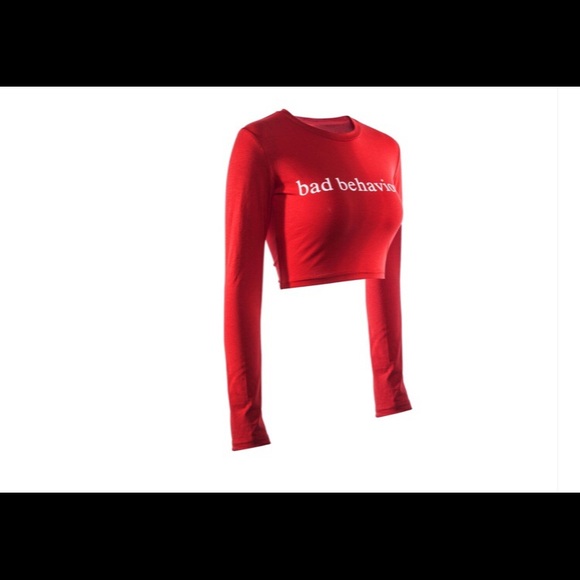 Bad Behaviour Long Sleeve Crop Top - Picture 2 of 4